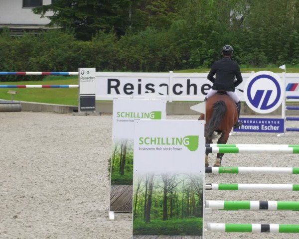 Reitturnier Babenhausen 2023