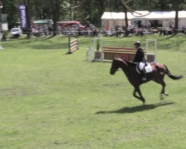 Reitturnier Helmsdorf 2023