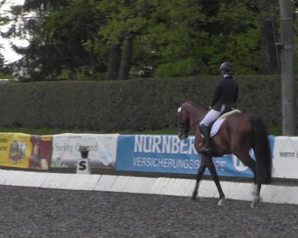 Reitturnier Röhrsdorf/ Chemnitz 2023