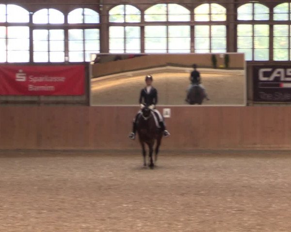 Reitturnier Elisenau 2021