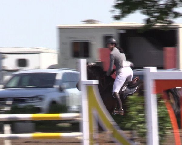 Reitturnier Lentzke - Reitanlage Krehl 2023