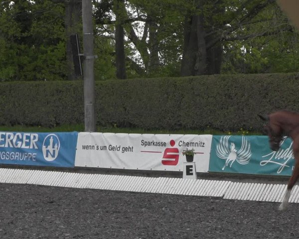 Reitturnier Röhrsdorf/ Chemnitz 2023