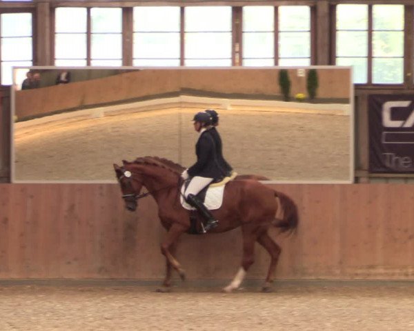 Reitturnier Elisenau 2021