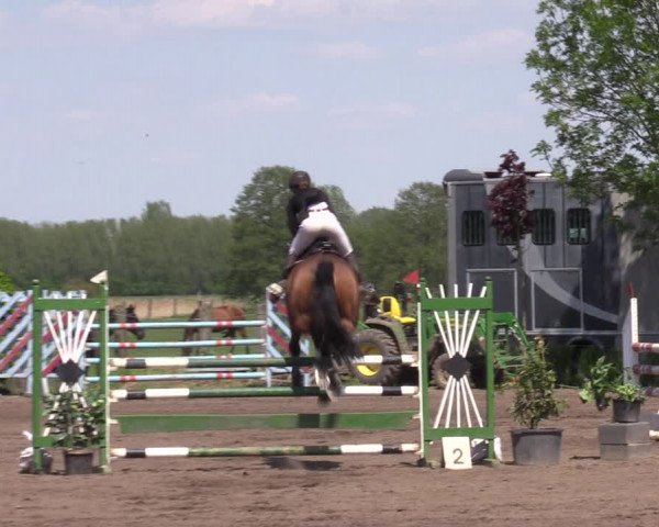 Reitturnier Lentzke - Reitanlage Krehl 2023