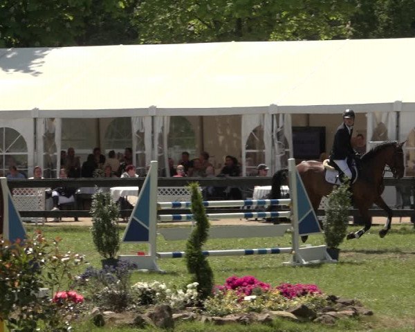 Reitturnier Meppen 2023