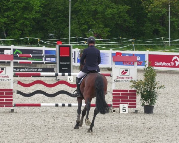 Reitturnier Babenhausen 2023