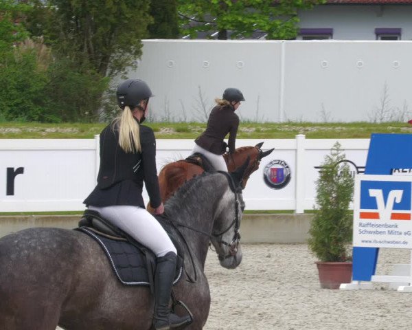 Reitturnier Babenhausen 2023