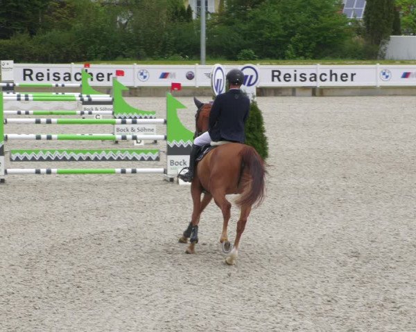 Reitturnier Babenhausen 2023