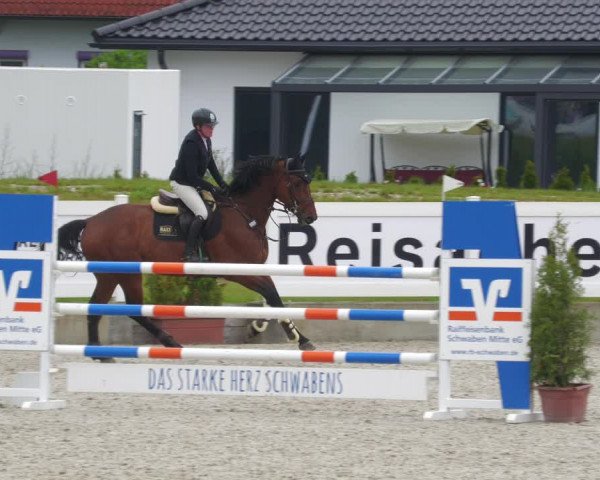 Reitturnier Babenhausen 2023