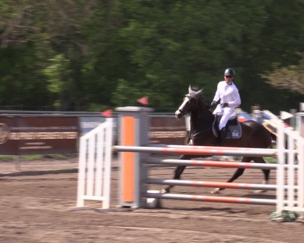 Reitturnier Lentzke - Reitanlage Krehl 2023