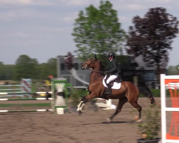 Reitturnier Lentzke - Reitanlage Krehl 2023