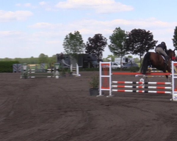 Reitturnier Lentzke - Reitanlage Krehl 2023