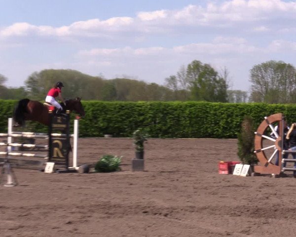 Reitturnier Lentzke - Reitanlage Krehl 2023