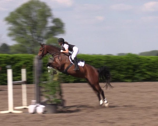 Reitturnier Lentzke - Reitanlage Krehl 2023