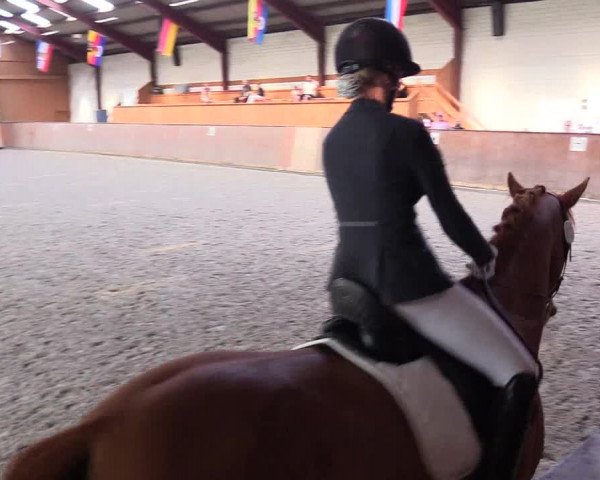 Reitturnier Risum-Lindholm 2023