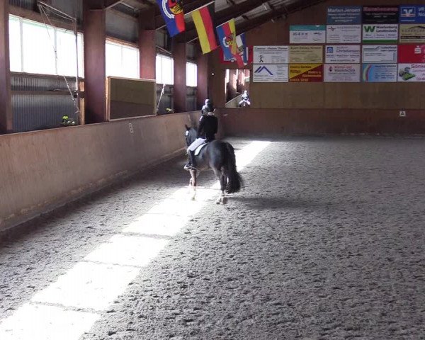 Reitturnier Risum-Lindholm 2023