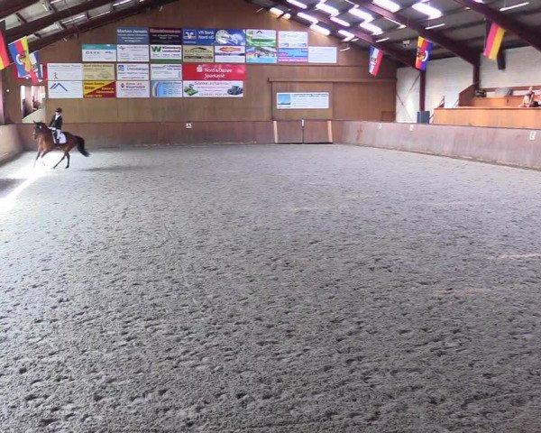 Reitturnier Risum-Lindholm 2023