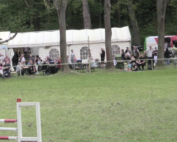 Reitturnier Helmsdorf 2023