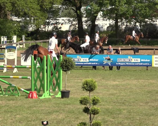 Reitturnier Meppen 2023
