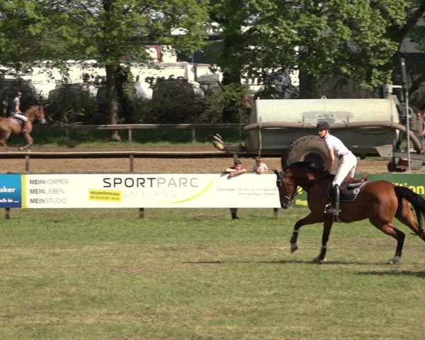 Reitturnier Meppen 2023