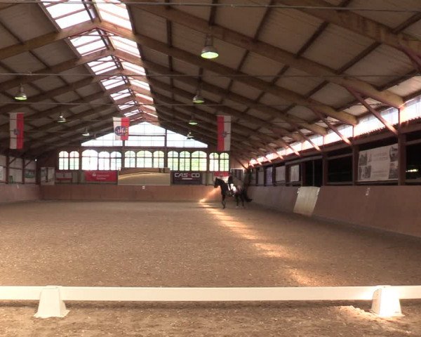 Reitturnier Elisenau 2021
