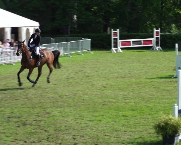 Reitturnier Jülich 2023