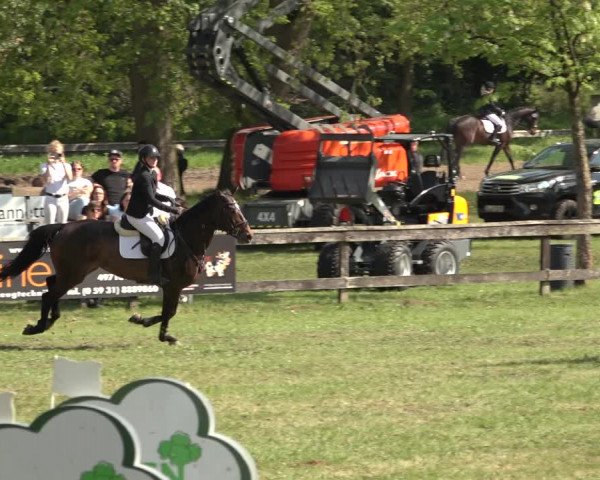 Reitturnier Meppen 2023