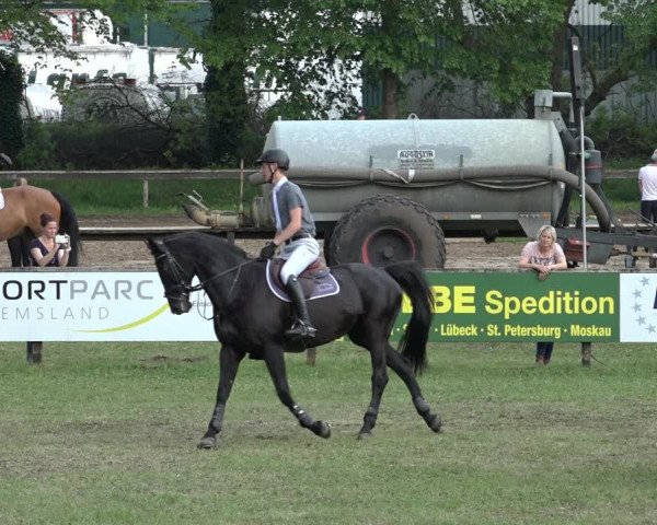 Reitturnier Meppen 2023