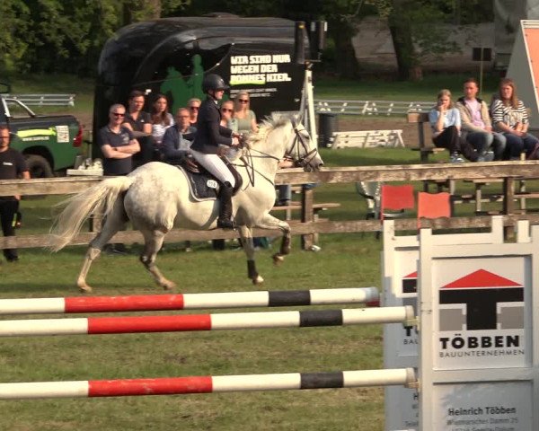 Reitturnier Meppen 2023
