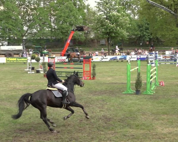 Reitturnier Meppen 2023