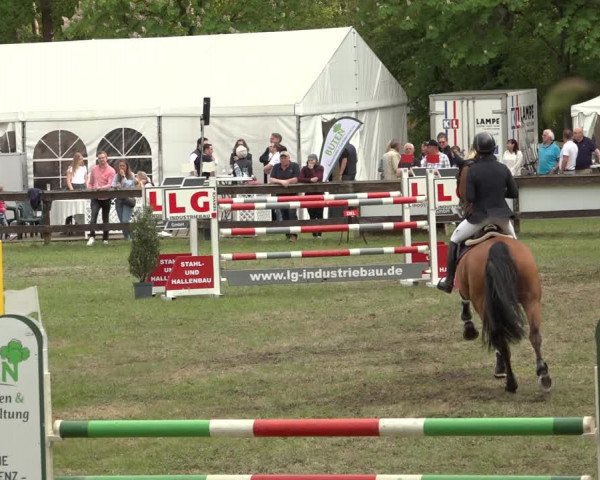 Reitturnier Meppen 2023