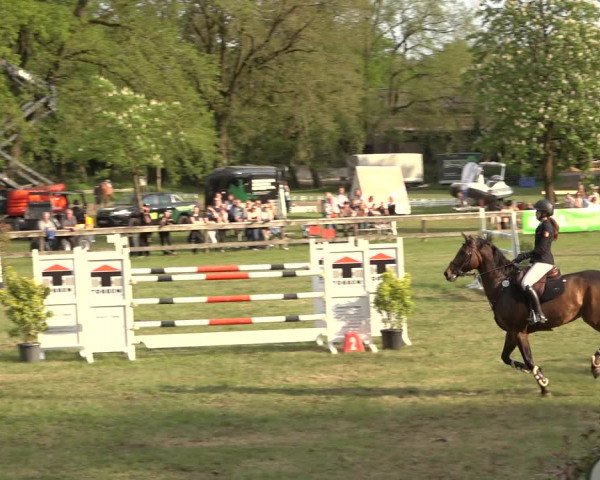 Reitturnier Meppen 2023