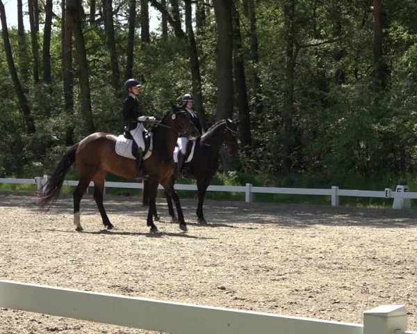 Reitturnier Meppen 2023
