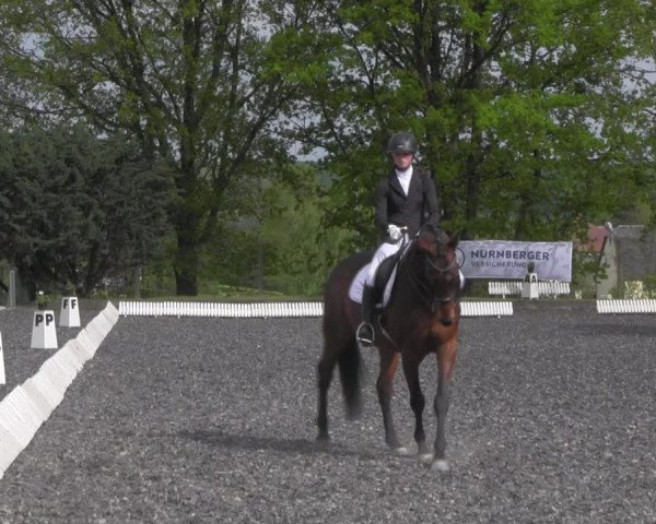 Reitturnier Röhrsdorf/ Chemnitz 2023