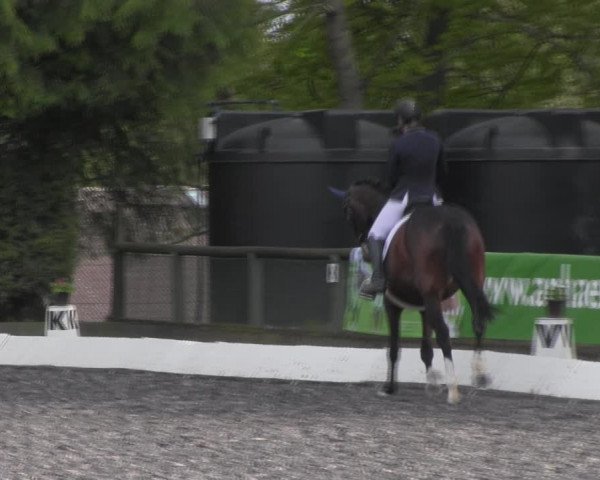Reitturnier Röhrsdorf/ Chemnitz 2023