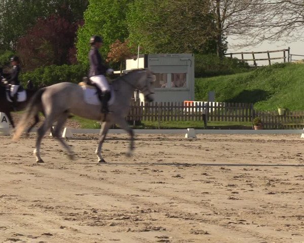 Reitturnier Schülp / Rendsburg 2023