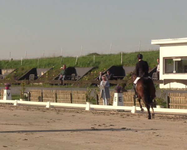 Reitturnier Schülp / Rendsburg 2023