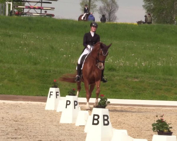 Reitturnier Röhrsdorf/ Chemnitz 2023