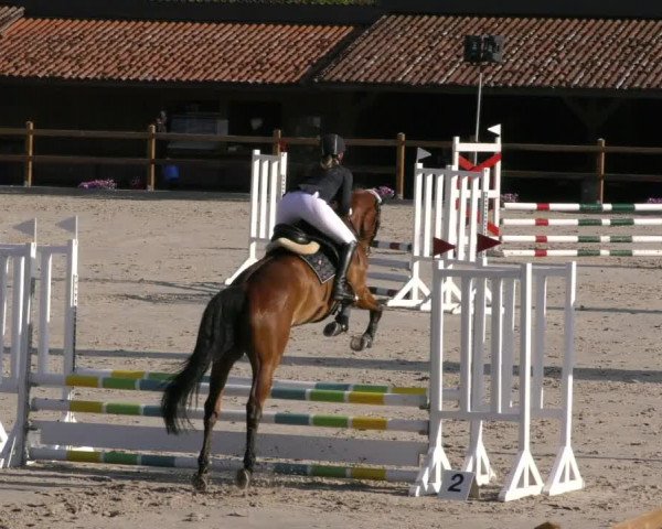 Reitturnier Alvern 2023