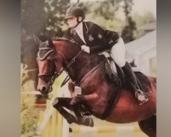 dressage horse Pietje (unknown, 2007)