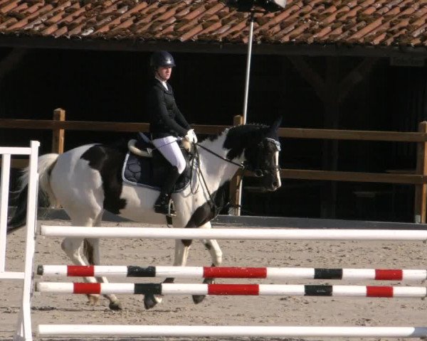 Reitturnier Alvern 2023