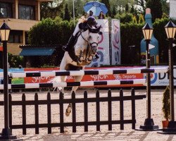 jumper Una du Keske Z (Zangersheide riding horse, 2008, from Ultimo van ter Moude)