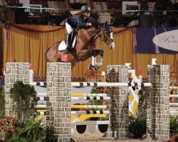 jumper Zabel D (KWPN (Royal Dutch Sporthorse), 2004, from Larino)