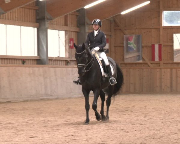 Reitturnier Ranzenbach 2023