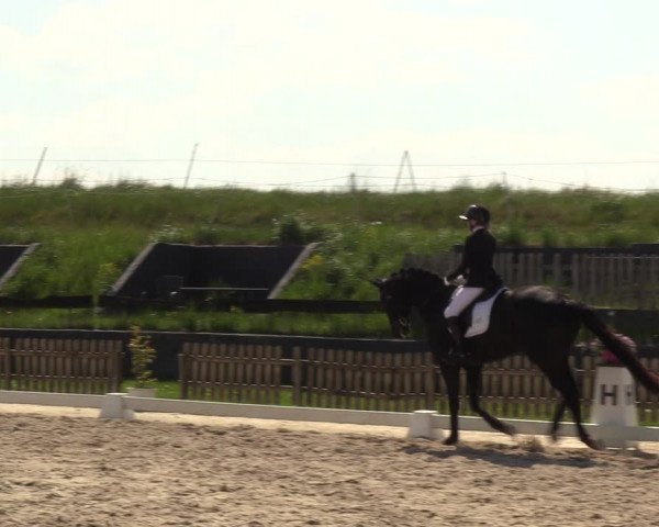 Reitturnier Schülp / Rendsburg 2023