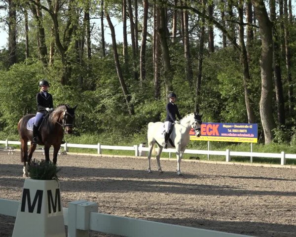 Reitturnier Meppen 2023