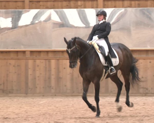 Reitturnier Ranzenbach 2023
