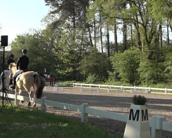 Reitturnier Meppen 2023