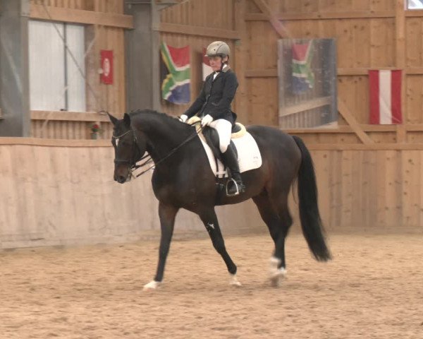 Reitturnier Ranzenbach 2023