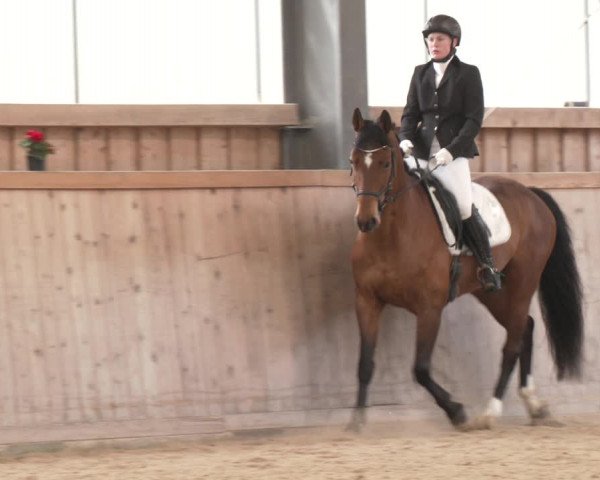 Reitturnier Ranzenbach 2023